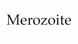 How to Pronounce Merozoite [upl. by Notsirt]