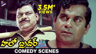 Brahmis Famous Dialogue  Nenu Commongane Chusanu Nuvve Kangaru Paddav  Hello Brother Scenes [upl. by Itsuj770]