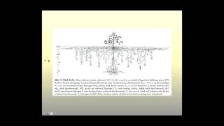 Understanding Roots Exploring Plants Underground 11 16 15 [upl. by Venetia]