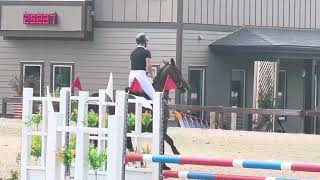 MBF Zenith Good Lux  Training SJ 3’3”  Five Points HT  Sept 2024 [upl. by Alyekahs]