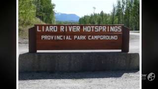 Liard Hot Springs Black Bear Attack Aug 14 1997 [upl. by Leach279]