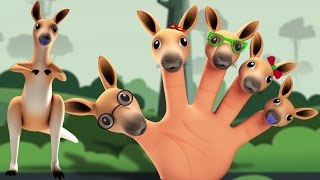 Känguru Finger Familie  Reim für Kinder  Kangaroo Finger Family  Kids Nursery Rhymes  Kids Songs [upl. by Narra]