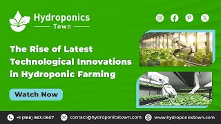 The Rise of Latest Technological Innovations in Hydroponic FarmingHydroponicsTown [upl. by Reames871]