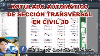 ROTULADO AUTOMÁTICO DE SECCIÓN TRANSVERSAL EN CIVIL 3D 2015 – 2024 R12 [upl. by Agemo]