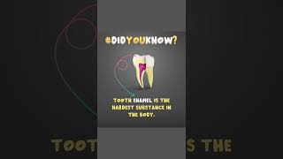 some interesting facts about teeth [upl. by Lorrimor]