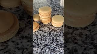 Macarons Without Almond Flour [upl. by Annerahs153]