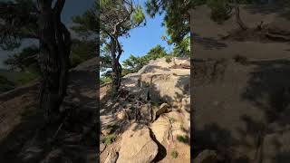 Beehive Trail in Acadia National Park So much fun hiking acadia maine roadtrip [upl. by Venezia350]