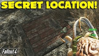 Fallout 4 Far Harbor Secret Trap Door that Leads Underground [upl. by Ahsya388]