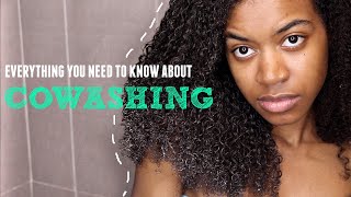 HOW to CoWash WHEN to CoWash WHY you need to CoWash  All About CoWashing Natural Hair [upl. by Norted899]