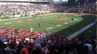 Carson Palmer return to Cincinnati [upl. by Clovah423]