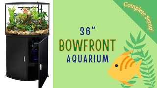 36 Gallon Bow Front Aquarium from Petsmart  New Setup [upl. by Annoj]