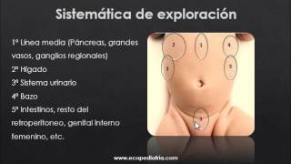 02 Sistematica [upl. by Calle830]