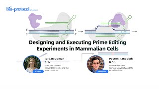 Designing and Executing Prime Editing Experiments in Mammalian Cells [upl. by Lenneuq30]