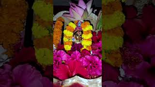 Laxmi pado ghare thibaaodia status statusvideo [upl. by Ardena]