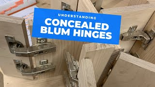 All the main Blum hinge types explained [upl. by Enahsed36]