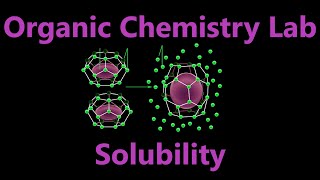 Solubility and Solutions  Organic Chemistry Lab Techniques [upl. by Marylee]