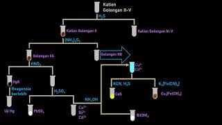 2 Analisis Kualititatif Kation dan Anion [upl. by Ivett]