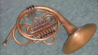 Mozart  Horn Concerto No 1 in D K 412 complete [upl. by Anirtik]