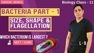 Biological Classification  Bacteria Part 1  Lecture 9  Biology  Class 11  CBSE  NEET  AIIMS [upl. by Nichani]