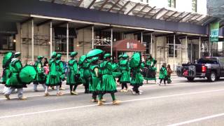 Mummers Parade 2014 [upl. by Terrel]