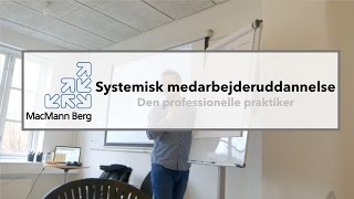 Systemisk medarbejderuddannelse  Den professionelle praktiker [upl. by Anirol]