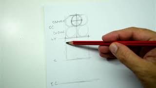 ANATOMIA PARA ARTISTAS  CAPITULO 1 PROPORCIONES [upl. by Nonnaehr160]