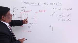 Class 12th – Polarization of LightMalus Law  Wave Optics  Tutorials Point [upl. by Aihtnic]