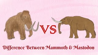 Mammoth VS Mastodonwho was stronger than another [upl. by Madai]