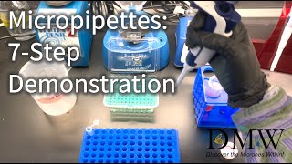 Micropipettes 7Step Demonstration [upl. by Beisel480]