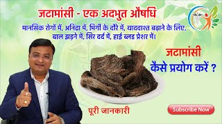 जटामांसी  एक अद्भुत आयुर्वेदिक जड़ी बूटी  Nardostachys jatamansi  Dr Prateek Agarawal 40 [upl. by Els398]