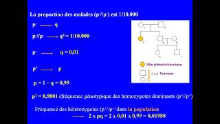 Exercice de génétique humaine et des populations Hérédité autosomique récessive Bacconcours [upl. by Fred635]