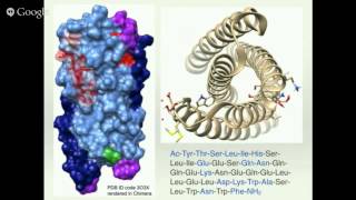 Cancer Unregulated Cell Division [upl. by Allenad]