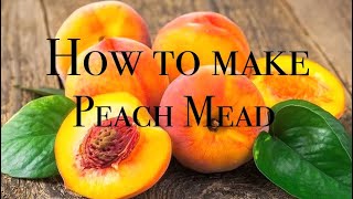 How to make PEACH MEAD First 24 hours [upl. by Kaz]