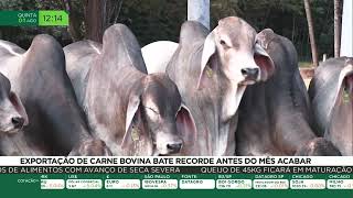 Exportação de carne bovina bate recorde antes do mês acabar [upl. by Aleron844]