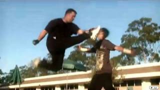 Wushu vs Karate  Martial Arts Fight Scene [upl. by Brasca]