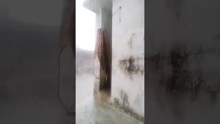 dilawa ke saf jaise gangaji ke paniya ho bhojpurisong vidioviral ytshorts barish [upl. by Omero]