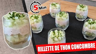 RILLETTE DE THON CONCOMBRE VERRINE SALEE PREPARER EN 5 MIN POUR UN APERITIF ET TRES PEU CALORIQUE [upl. by Haisa341]