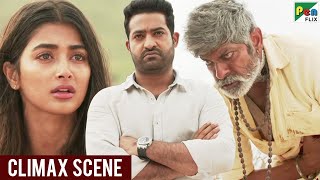 Aravind Sametha  Climax Fight Scene  Jr NTR Pooja Hegde Jagapathi Babu  Hindi Dubbed Movie [upl. by Filipe]