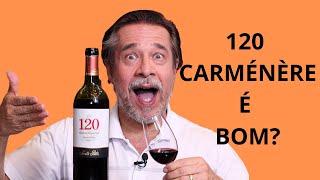 VINHO 120 CARMÉNÈRE RESERVA ESPECIAL É BOM [upl. by Daley]