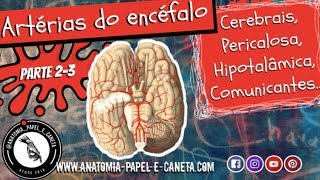 Artérias do encéfalo Parte 23  CEREBRAIS PERICALOSA HIPOTALÂMICA COMUNICANTES [upl. by Sumner]