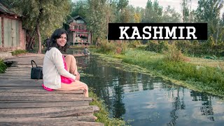 My Solo Trip to Srinagar  How to Spend Two Days in Kashmir  Best Places  House Boat [upl. by Ajnot691]