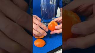 Easy science using mandarins shorts [upl. by Ainehta890]