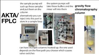 Elution terms strategies stepwise gradient etc amp practical tips esp for protein chromatography [upl. by Petersen763]