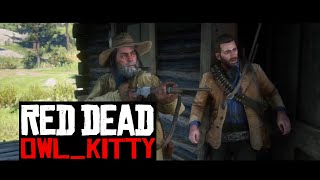 Red Dead Redemption 2 starring my cat OwlKitty [upl. by Anilorac]