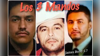 Los 3 Mandos  Arley Pérez Gerardo Ortiz Voz De Mando [upl. by Nogaem]