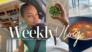 weekly vlog  house updatestill broken  organzing closet  new recipes amp more allyiahsface vlog [upl. by Davis146]