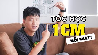 Cách Mọc Tóc Thật Nhanh Để Đón Tết 1cm Mỗi Ngày [upl. by Neema]