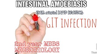 INTESTINAL AMOEBIASIS  GIT INFECTION  MICROBIOLOGY 2nd year MBBS exam oriented rapid revision [upl. by Jansen775]