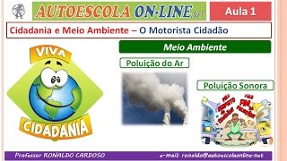 34 Meio Ambiente  Cidadão x Trânsito  Tipos de Poluentes  Tipos de Poluição [upl. by Feeney]