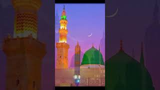 Beautiful Islamic Tiktok Video islamicstatus beautifulislamic tiktok short shortbeta [upl. by Kermit248]